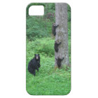 Bear & Three Cubs