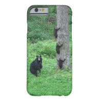 Bear & Three Cubs iPhone 6 Case