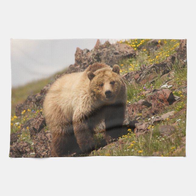 bear towel (Horizontal)
