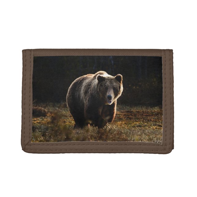 Bear Tri-fold Wallet (Front)
