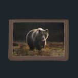 Bear Trifold Wallet<br><div class="desc">A beautiful photo of an adult bear in the woods. A fantastic gift for any bear enthusiast. Photo by Zdeněk Macháček.</div>