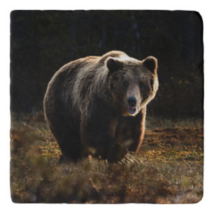 Bear Trivet