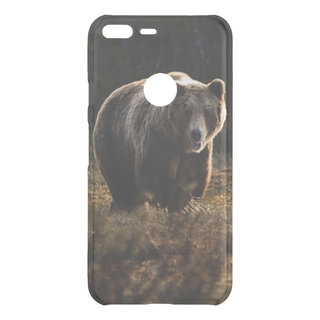 Bear Uncommon Google Pixel XL Case (Back)
