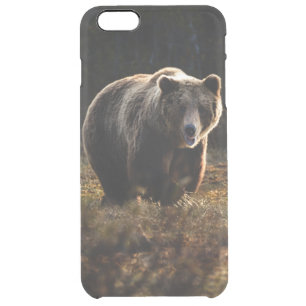 Bear Clear iPhone 6 Plus Case