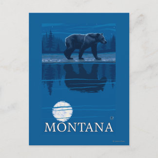 Bear Walking in Moonlight Vintage Travel Postcard