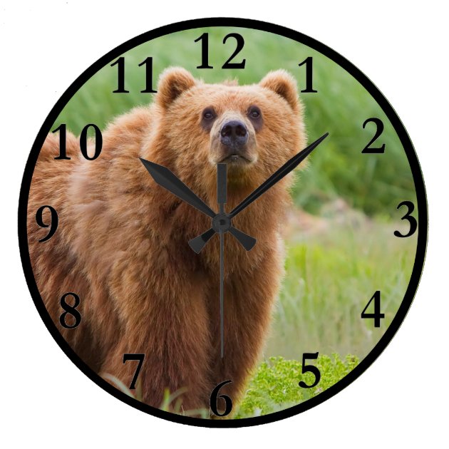 Bear Wall Clock Zazzle Com   Bear Wall Clock R6eef00bfcf8e4baf9c4f6d9e39abd9c6 Fup13 8byvr 630 