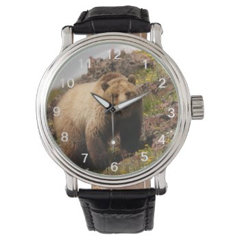 Bear Watch by WorldDesign at Zazzle