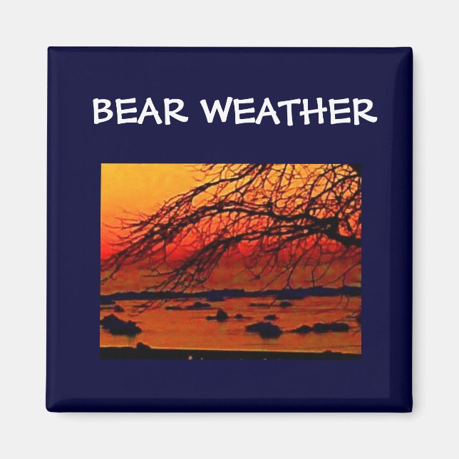BEAR WEATHER MAGNET (Front)