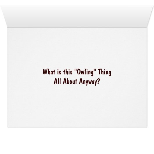 Bear: "What is this Owling Thing Anyway?" (Inside Horizontal (Bottom))