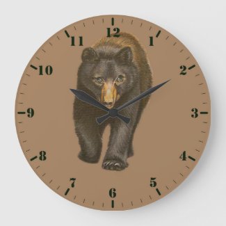 Bear wild animal