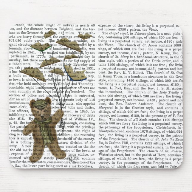 Bear with Book Butterflies Mouse Pad (Front)