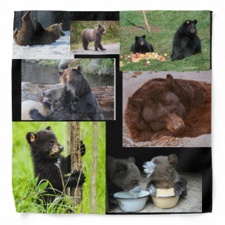 Bear With It Bandana