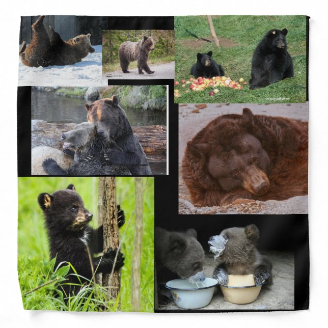 Bear With It Bandana (Front)