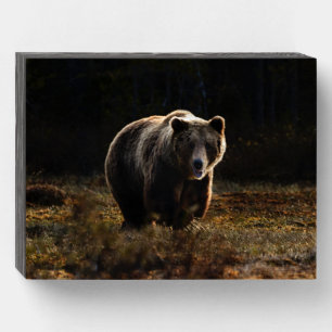 Bear Wooden Box Sign