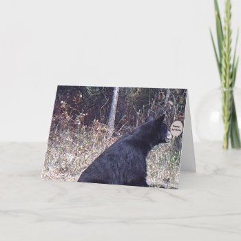 Bearcard Card by Artnmore at Zazzle
