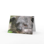 Bearcat Greeting Card