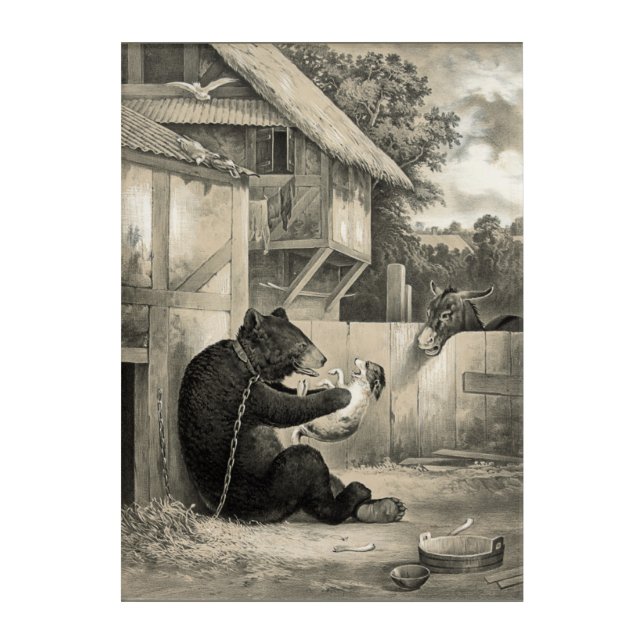 Beard - Bear, Dog and Donkey Acrylic Print (Front)