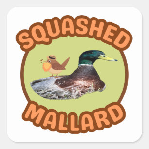 Bearded Birding Squashed Mallard Sticker