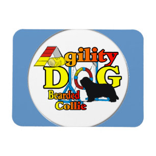 bearded collie agility magnet