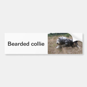 bearded collie bumper sticker