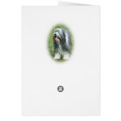 bearded collie Card (Back)
