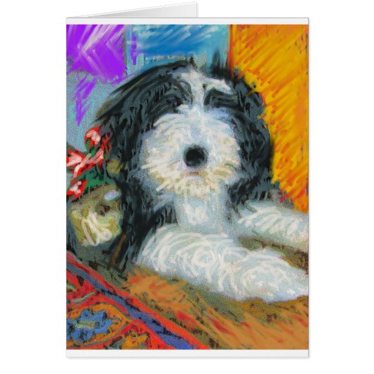 Bearded Collie Cards (Front)