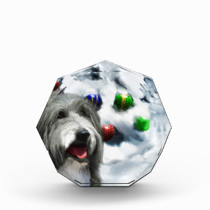 Bearded Collie Christmas Award