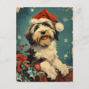 Bearded Collie Christmas Postcard