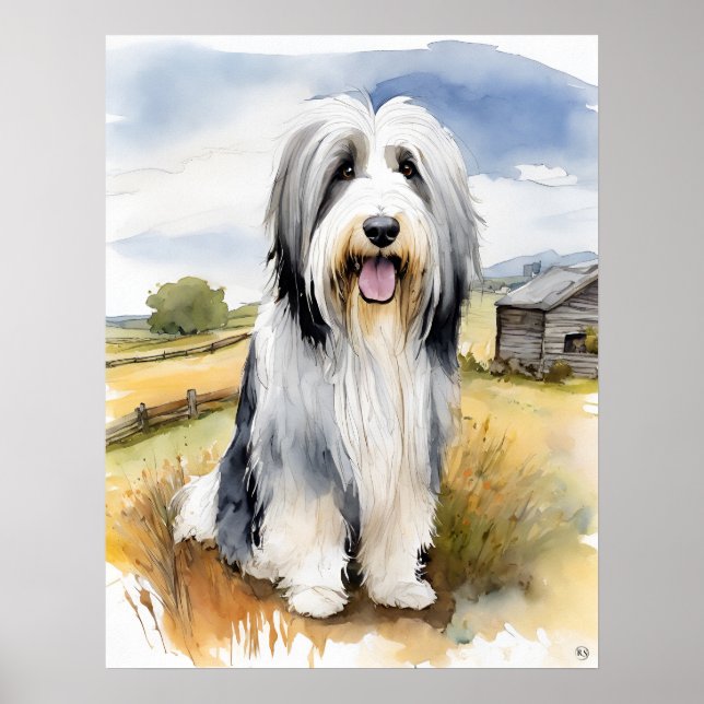 Bearded Collie- Dog Art Print (Front)