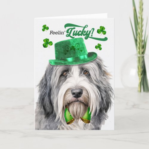 Bearded Collie Dog Lucky St Patricks Day Holiday Card