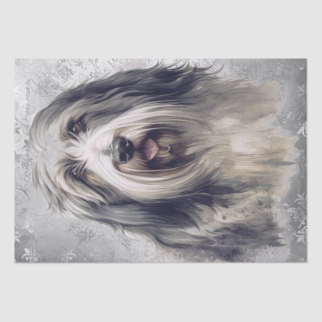 Bearded Collie Dog Tissue Paper (Front)