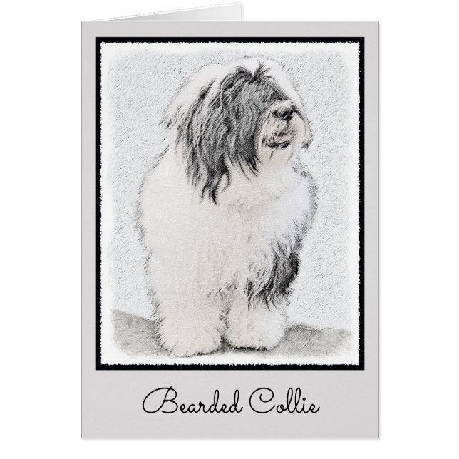 Bearded Collie Drawing - Cute Original Dog Art Cards (Front)
