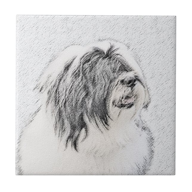 Bearded Collie Drawing - Cute Original Dog Art Ceramic Tile (Front)