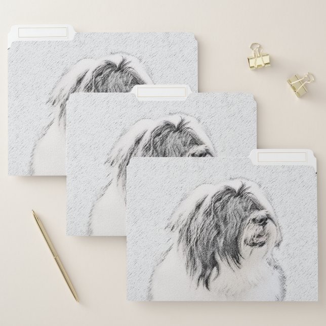 Bearded Collie Drawing - Cute Original Dog Art File Folder (Set)