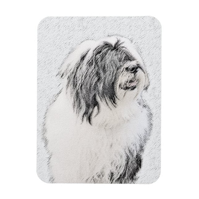 Bearded Collie Drawing - Cute Original Dog Art Magnet (Vertical)