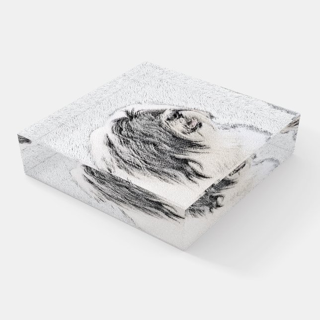Bearded Collie Drawing - Cute Original Dog Art Paperweight (Angled)
