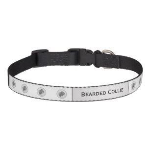 Bearded Collie Drawing - Cute Original Dog Art Pet Collar
