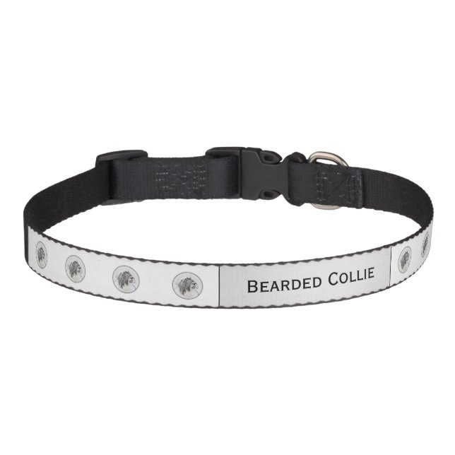 Bearded Collie Drawing - Cute Original Dog Art Pet Collar (Front)