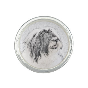 Bearded Collie Drawing - Cute Original Dog Art Ring