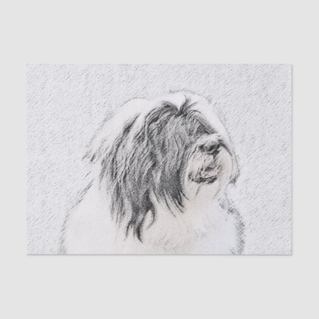 Bearded Collie Drawing - Cute Original Dog Art Tissue Paper (Front)