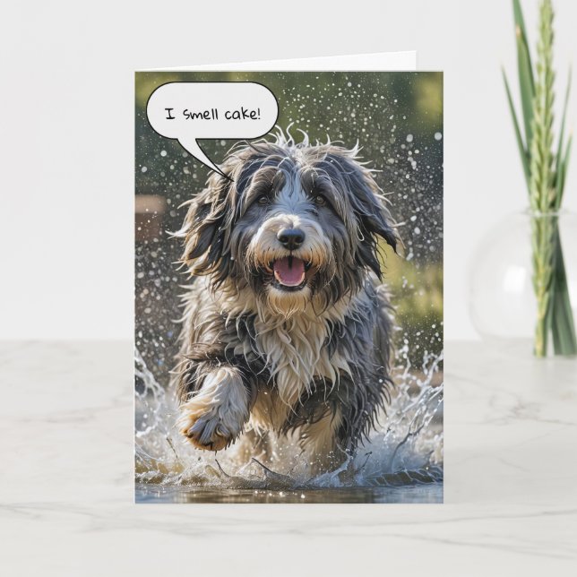 Bearded Collie for Birthday Card (Front)