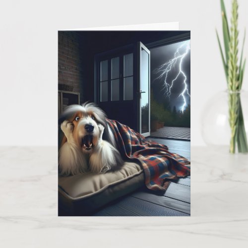 Bearded Collie Getting Old Birthday Humor Card