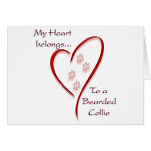 Bearded Collie Heart Belongs Cards