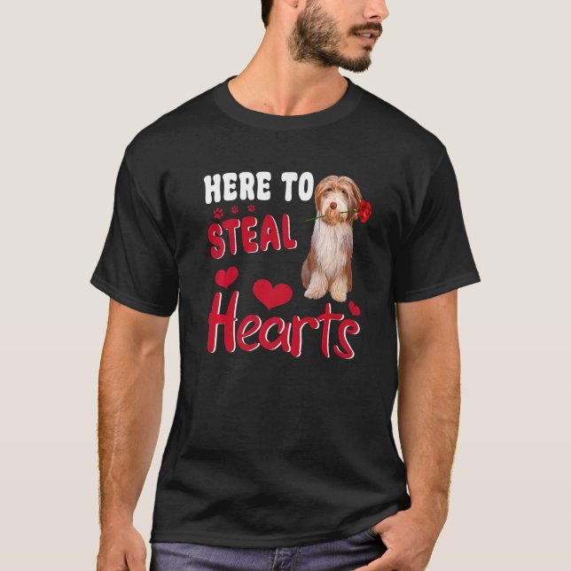 Bearded Collie Here To Steal Hearts Funny Dog Vale T-Shirt (Front)