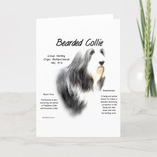 Bearded Collie History; Love Bearded Collies Holiday Card