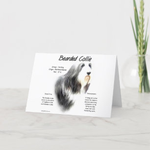 Bearded Collie History; Love Bearded Collies Holiday Card