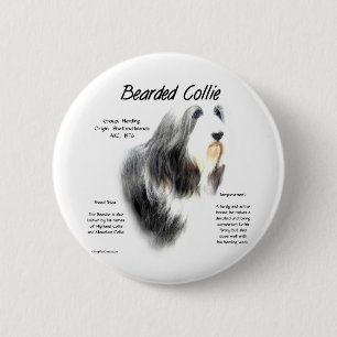 Bearded Collie History; Love Bearded Collies Pinback Button