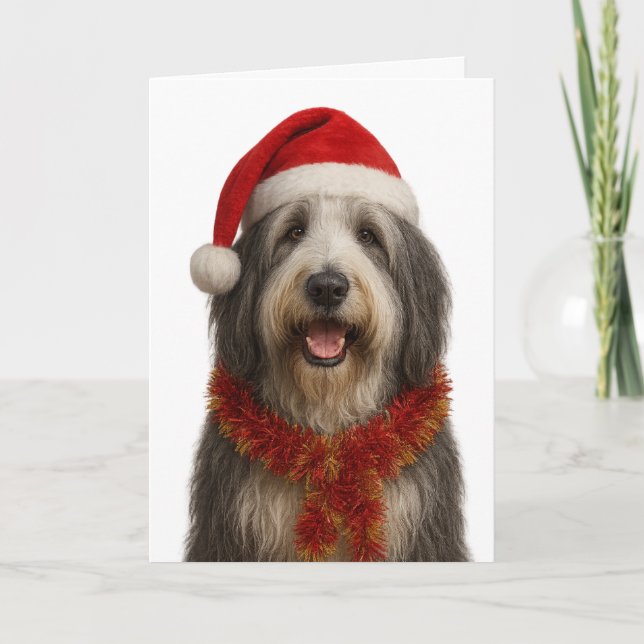 Bearded Collie in a Santa hat Christmas card (Front)