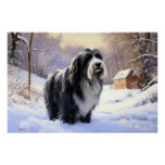 Bearded Collie Let It Snow Christmas  Poster