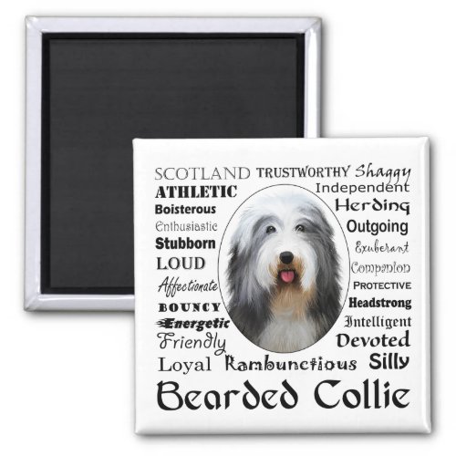 Bearded Collie Magnet
